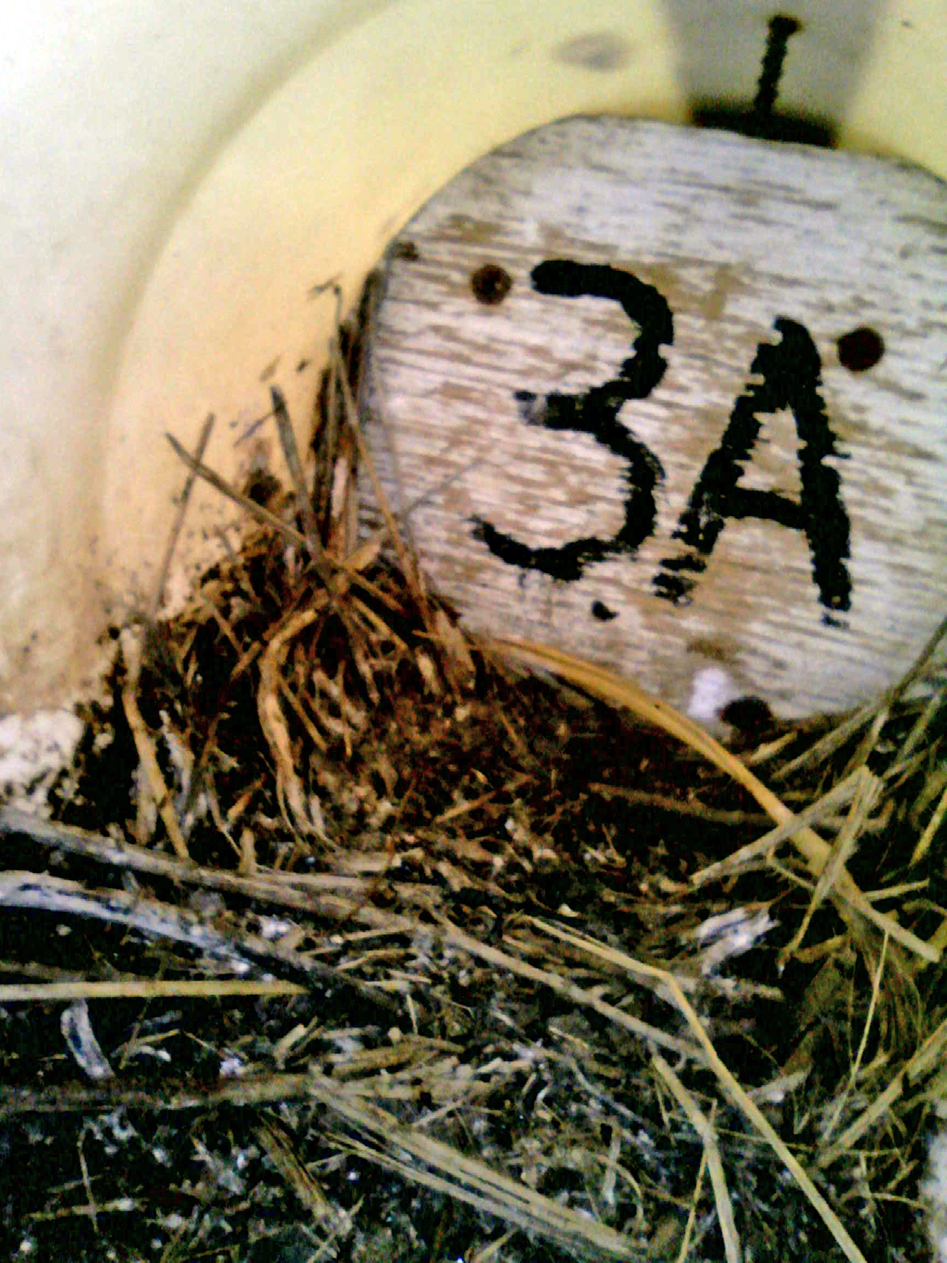 OPAS 3A